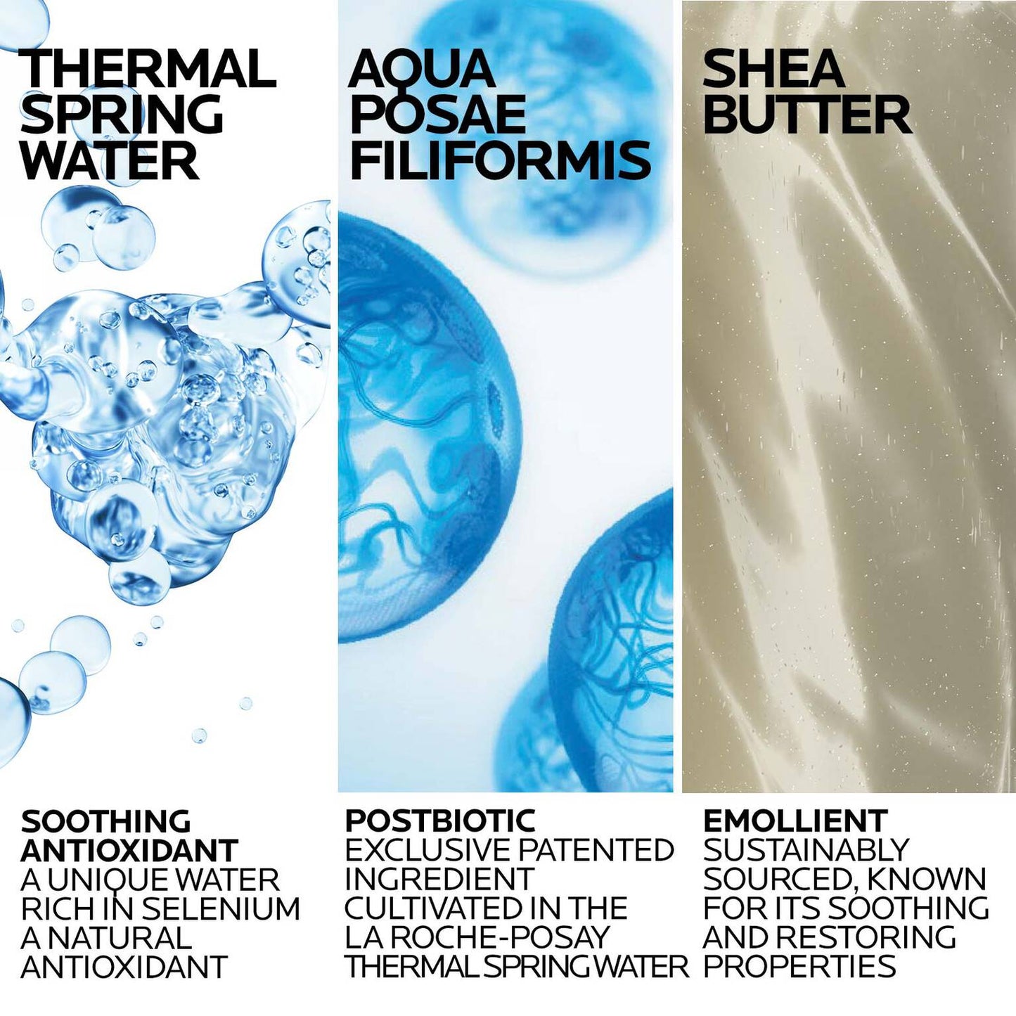 lipikar-wash-ap-moisturizing-body-and-face-wash-n8 Lipikar-Wash-ingredients_1500x1500-REV.jpg